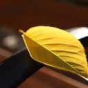 一鍵收藏！邂逅青島為明學(xué)校初冬的燦爛校園！（一）