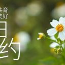 春日赴約，共育美好——青島為明學校小學部一二年級開放日圓滿舉行